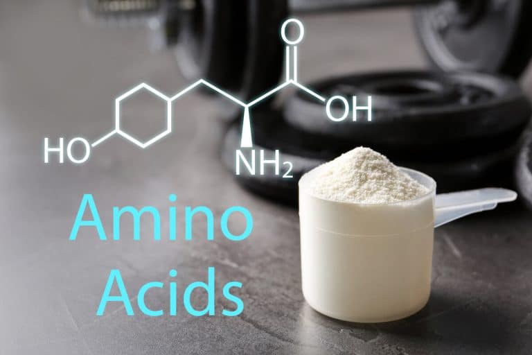 Your Guide to the Best Amino Acids for Muscle Growth